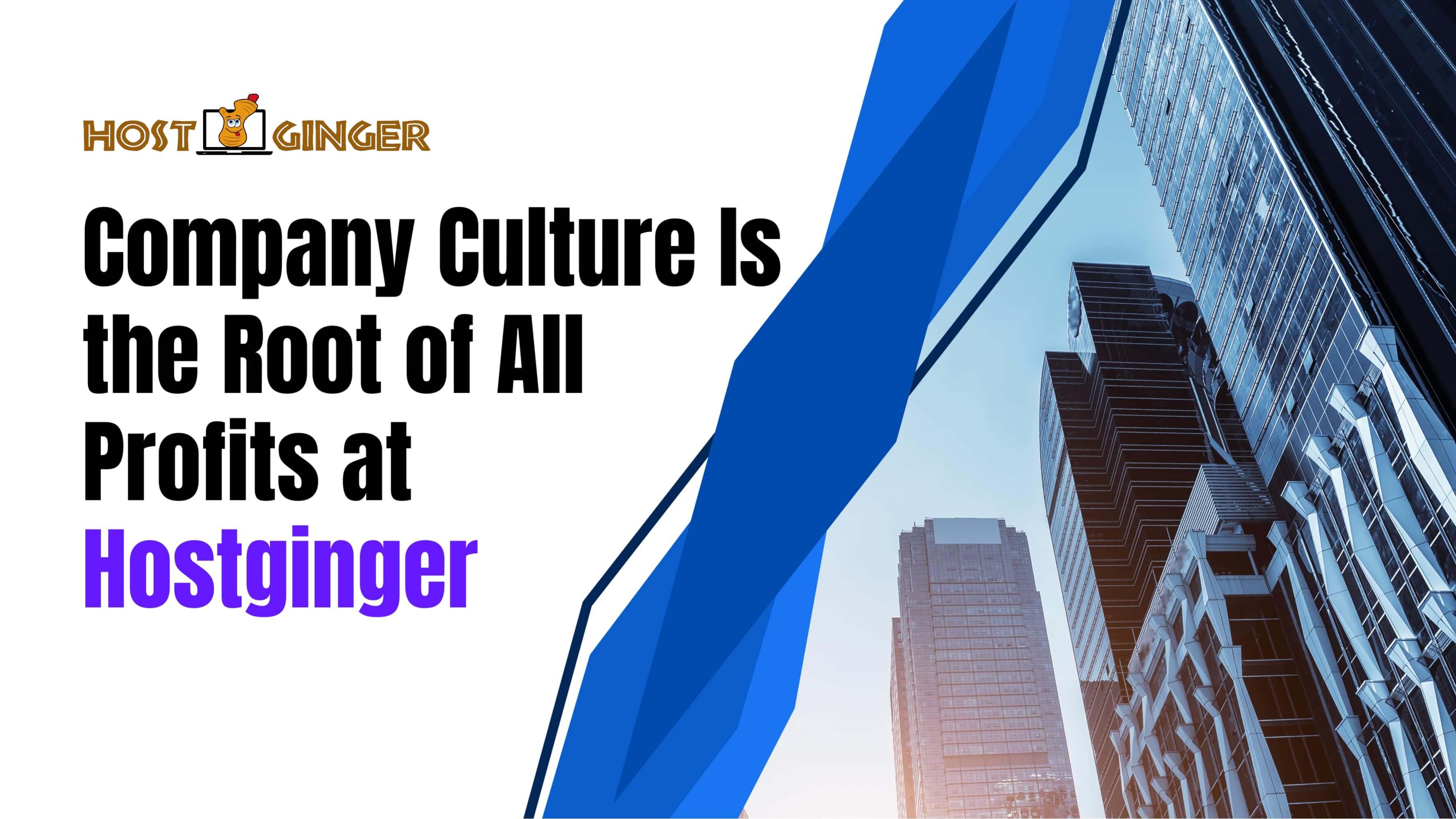Company Culture Is the Root of All Profits at Hostginger