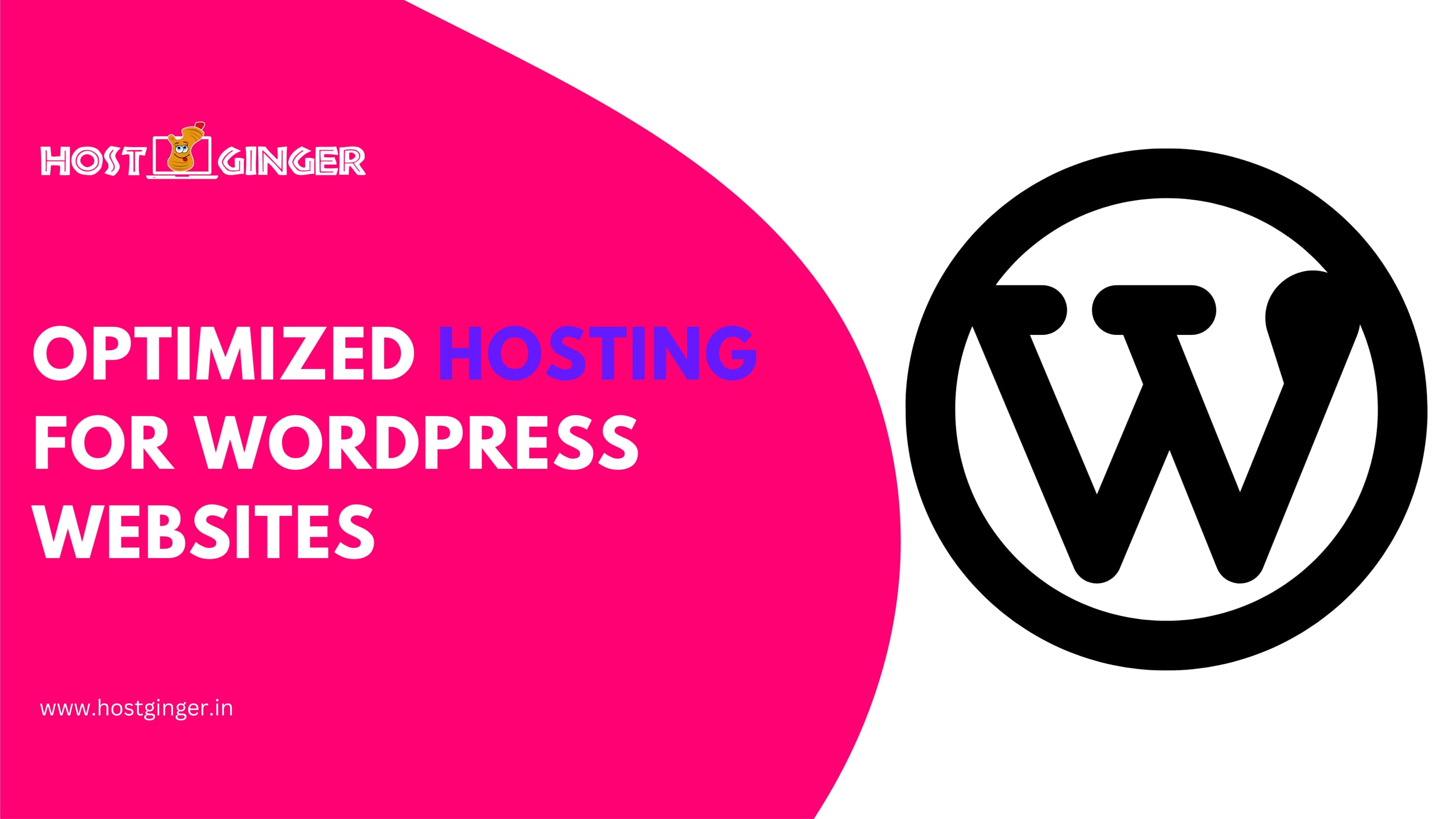 Optimized Hosting for WordPress Websites