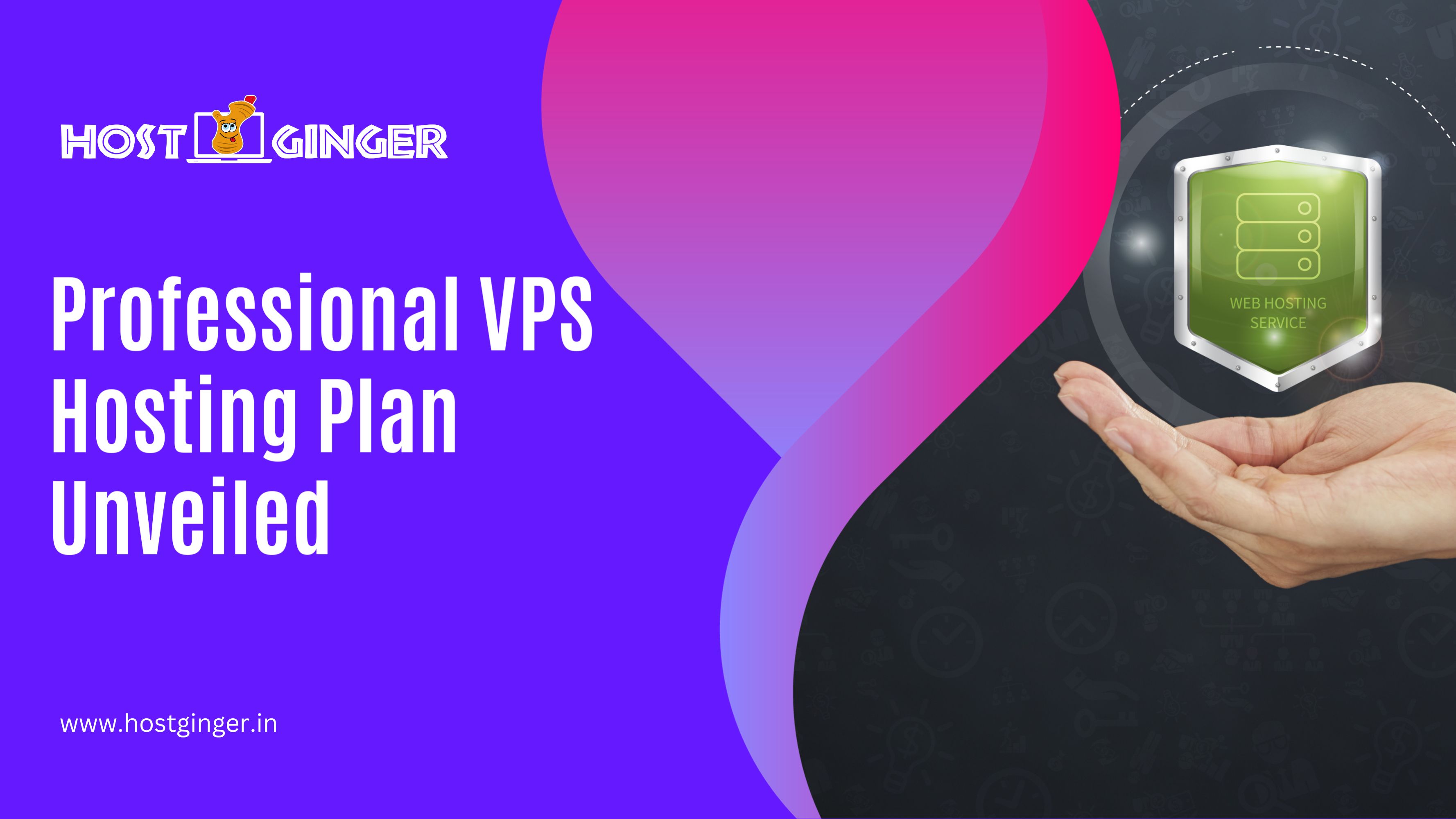 Professional VPS Hosting Plan