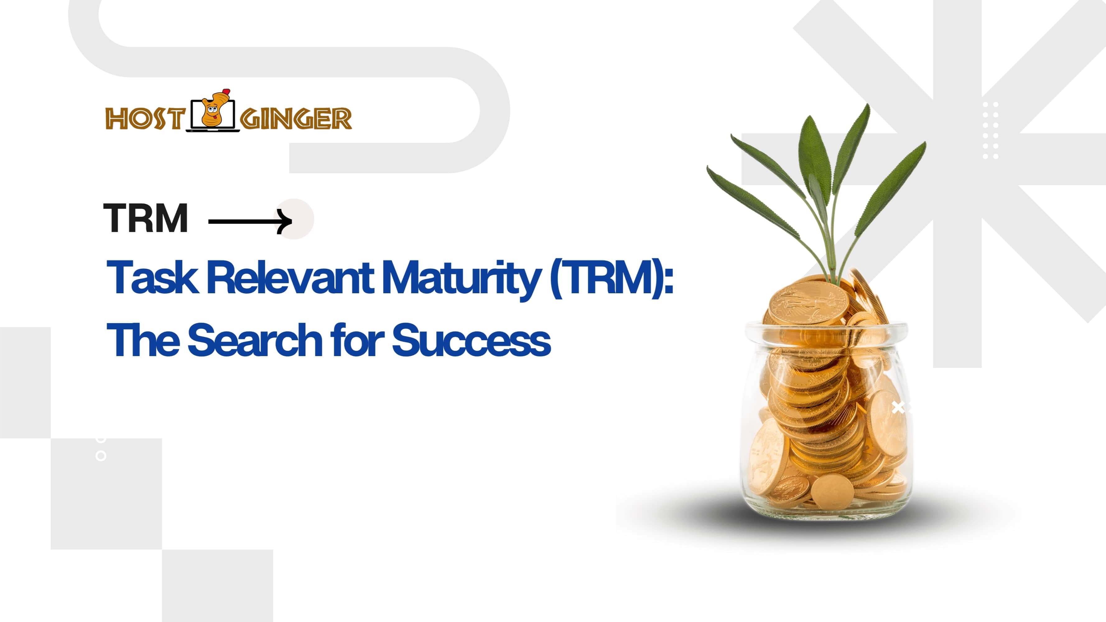 Task Relevant Maturity (TRM): The Search for Success