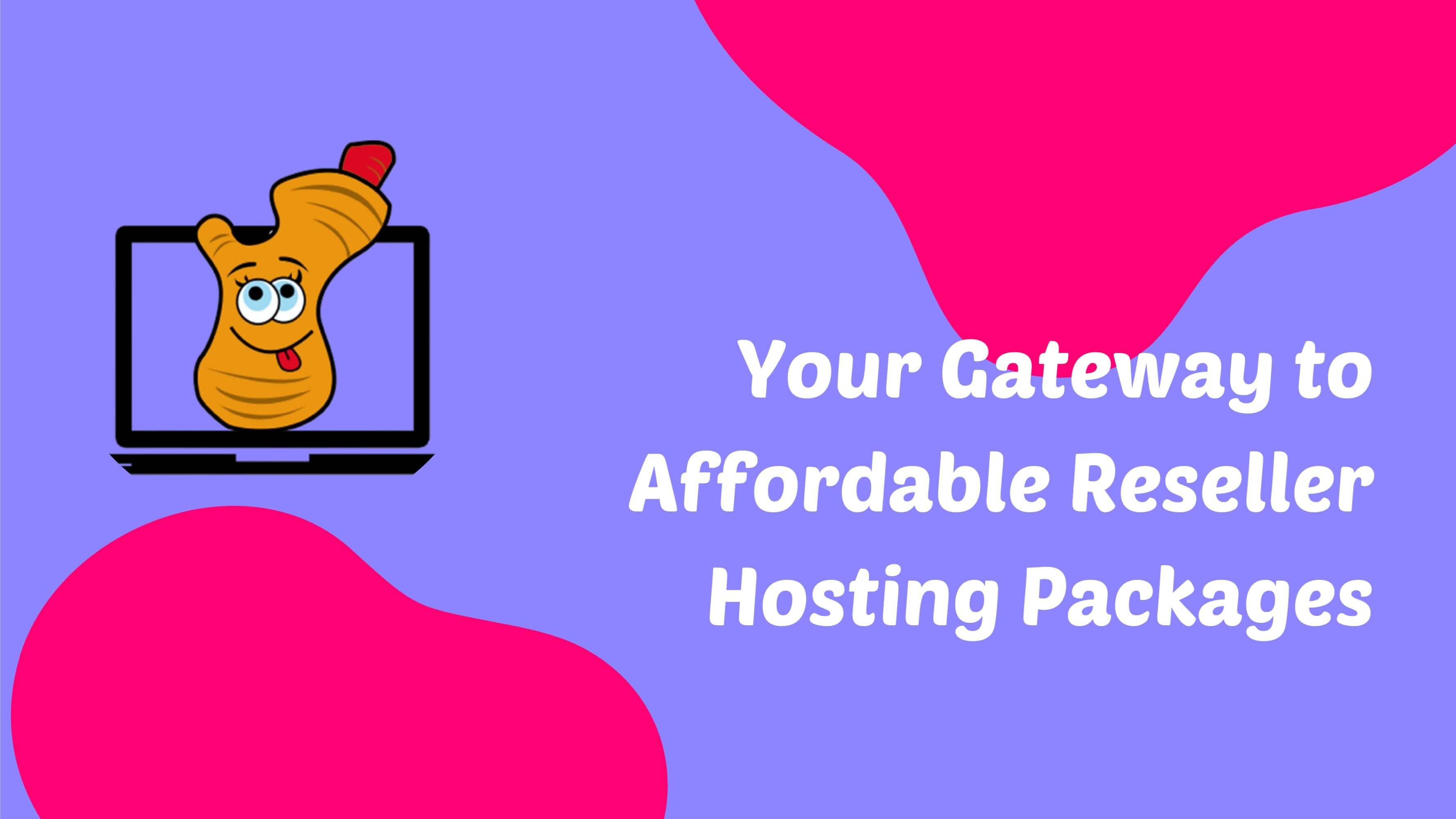 Your Gateway to Affordable Reseller Hosting Packages