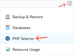 PHP Selector pull icon