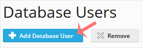 Database Users