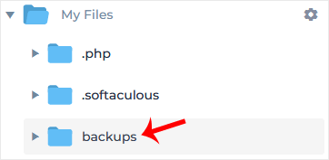 file manager backups