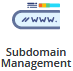 Subdomain management