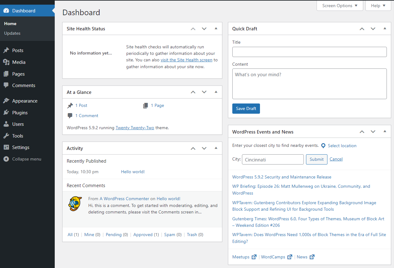 WordPress Dashboard Page