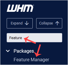 Feature Manager